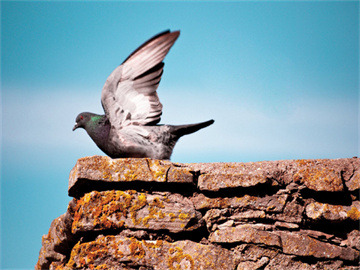 男子夜骑遭遇晾衣绳割喉事件，物业回应揭秘真相