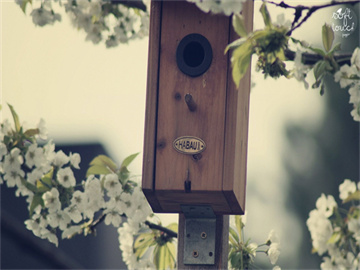 平安银行卡注销流程详解，轻松搞定注销操作！