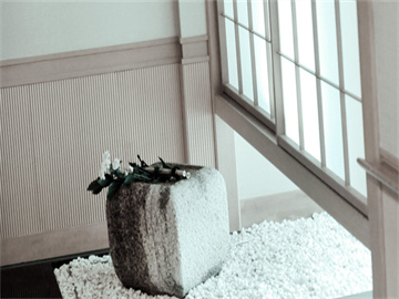 如何识别股票中的庄股？