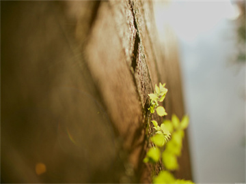 基金赎回时间详解，掌握正确时间点，避免白忙一场！