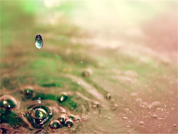 日本店员遭熊袭击仍坚持做拉面，血染全身不放弃