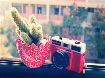  黄仁勋被指利用美国税法漏洞避税，金额超80亿美元