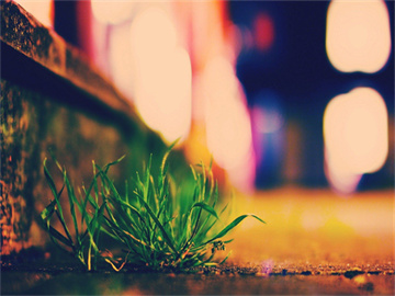 外交部严批英方，无理之举