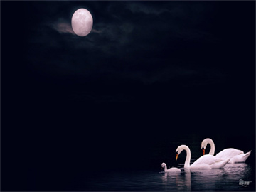 白银交易时间安排详解