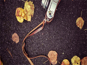 牧原股份股票行情实时分析