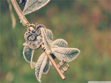 外交部严批英方，无理之举