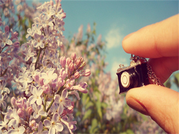 小米辣价格飙升至28元一斤，市民惊呼堪比肉价