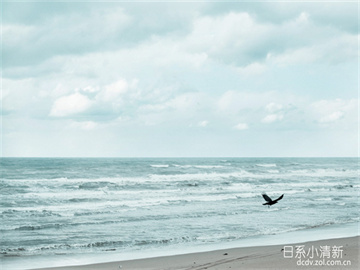 平安银行卡注销流程详解，轻松搞定注销操作！