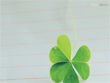 证券开户佣金万1免5详解，超低佣金开户攻略