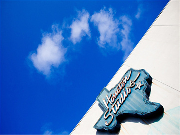 狮子肠梗阻紧急救治，CT检查与治疗费用高达两万元