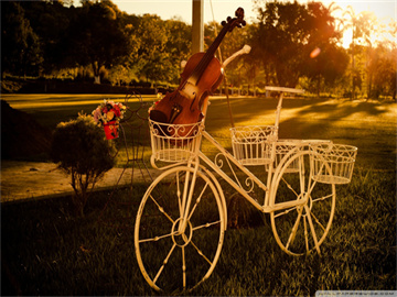 李嘉欣与许晋亨结婚纪念，共度甜蜜时光，庆祝结婚17周年