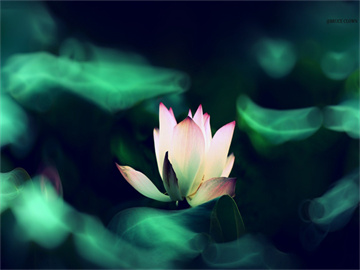 同花顺炒股软件，一站式投资分析工具