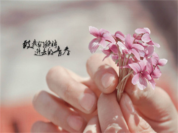 同花顺炒股软件，一站式投资分析工具