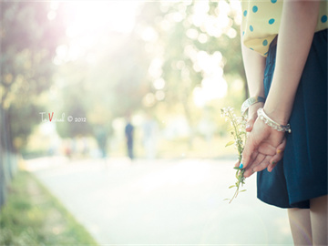 长高集团股票行情分析