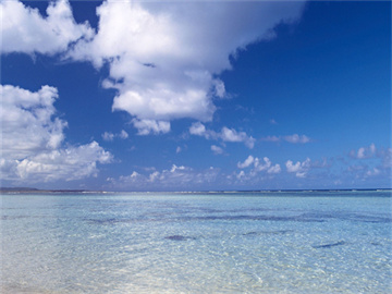 母爱无私，28岁妈妈割肝救女