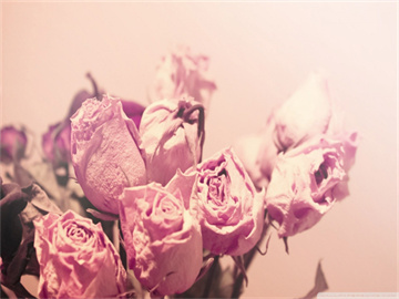 基金赎回时间详解，掌握正确时间点，避免白忙一场！