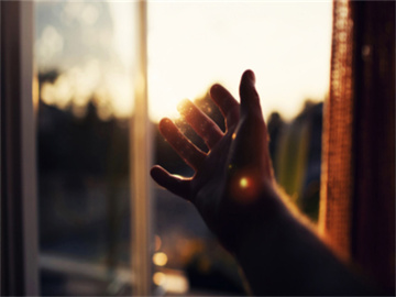 牧原股份股票行情实时分析