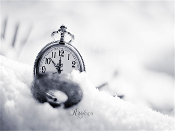 国内期货市场概况