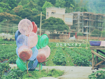 如何识别股票中的庄股？