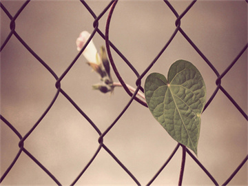 沪深300股指期货开户条件详解