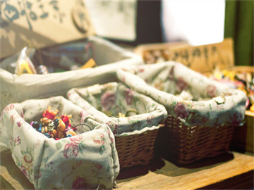 蔡磊准备探索脑机接口新领域