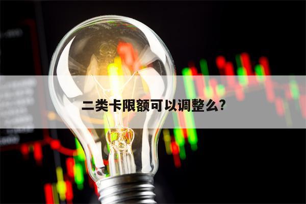 二类卡限额可以调整么?