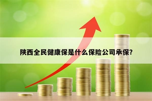 陕西全民健康保是什么保险公司承保？