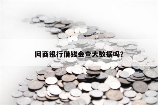 网商银行借钱会查大数据吗？