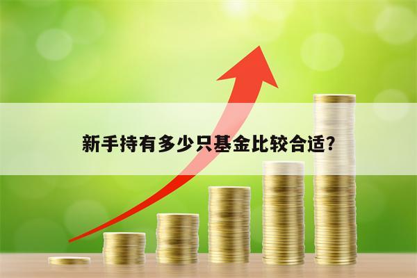 新手持有多少只基金比较合适？