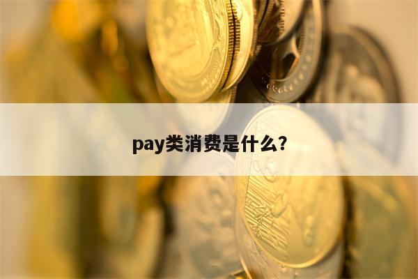 pay类消费是什么？