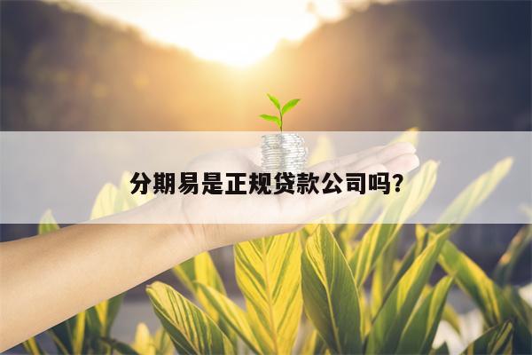 分期易是正规贷款公司吗？