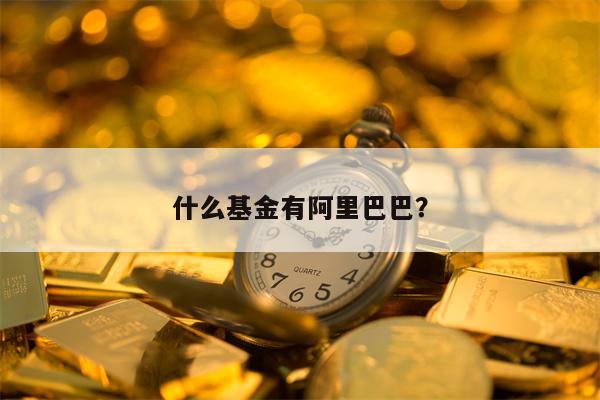 什么基金有阿里巴巴？