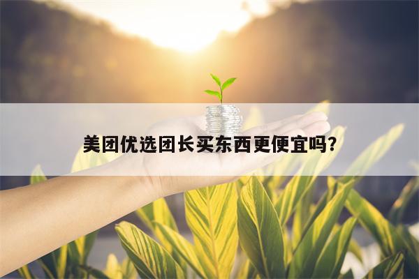 美团优选团长买东西更便宜吗？