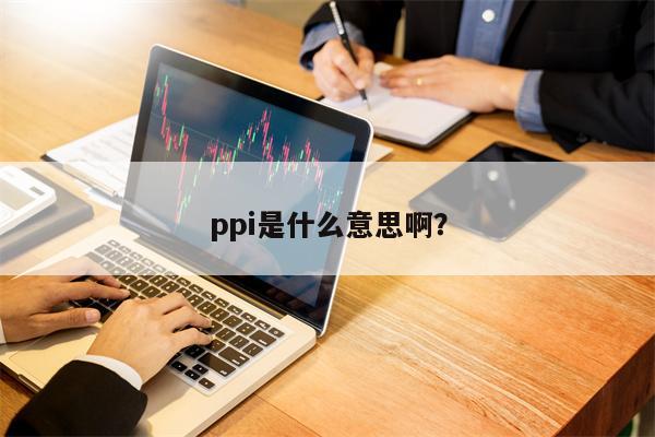 ppi是什么意思啊？