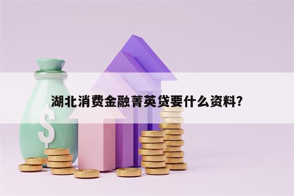 湖北消费金融菁英贷要什么资料？