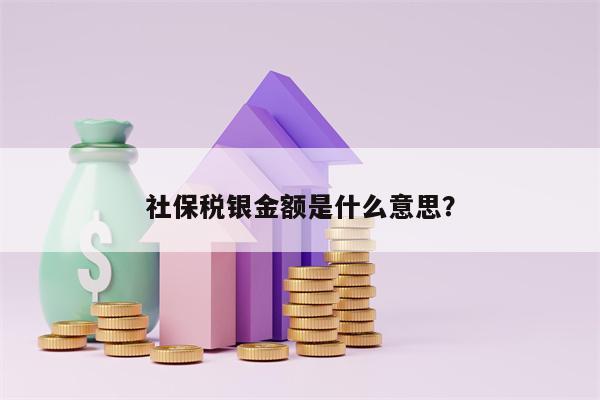 社保税银金额是什么意思？