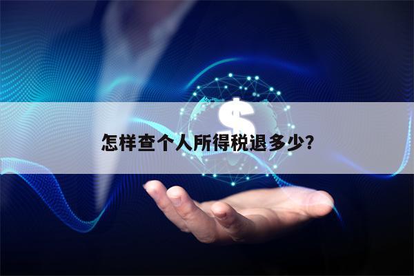 怎样查个人所得税退多少？