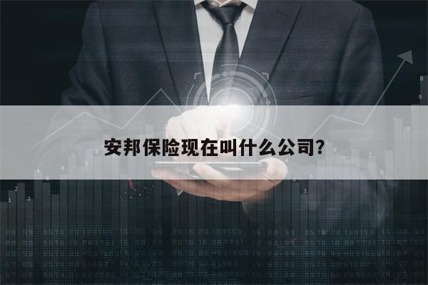 安邦保险现在叫什么公司？