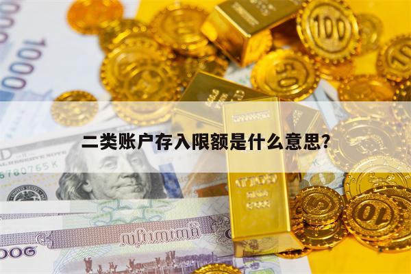 二类账户存入限额是什么意思？