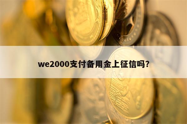 we2000支付备用金上征信吗？