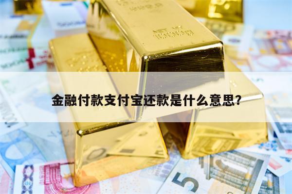 金融付款支付宝还款是什么意思？