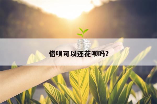 借呗可以还花呗吗？