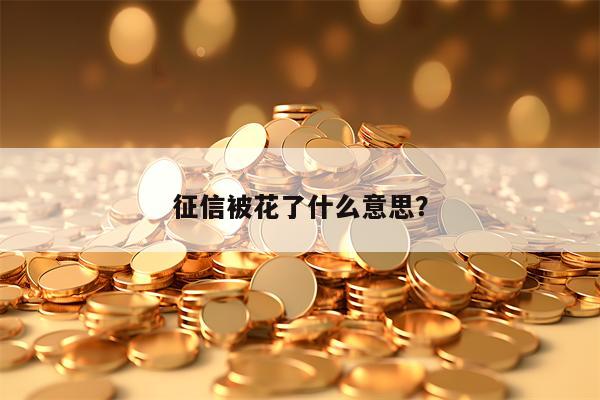 征信被花了什么意思？