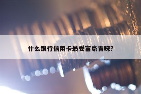 什么银行信用卡最受富豪青睐？