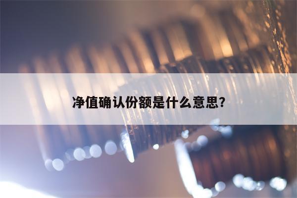 净值确认份额是什么意思？