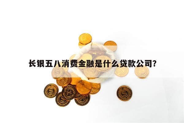 长银五八消费金融是什么贷款公司？