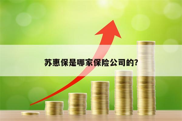 苏惠保是哪家保险公司的？