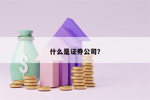 什么是证券公司？