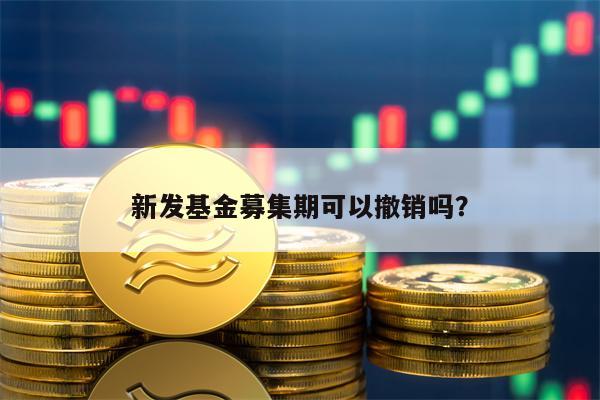 新发基金募集期可以撤销吗？