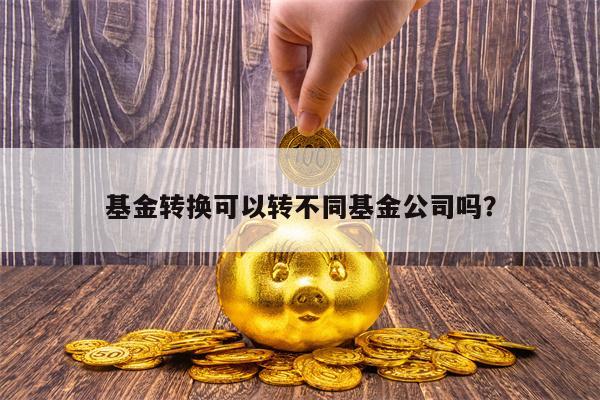 基金转换可以转不同基金公司吗？